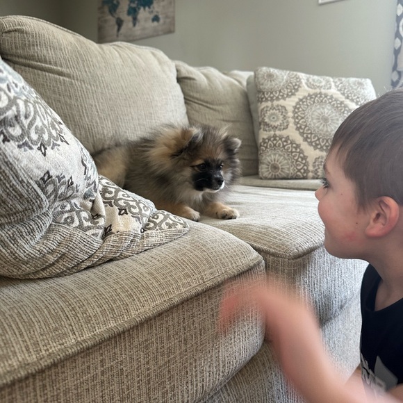 ❤️LOVES OFFERS ❤️! - Picture 10 of 16